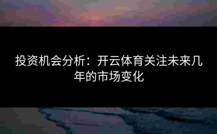投资机会分析：开云体育关注未来几年的市场变化