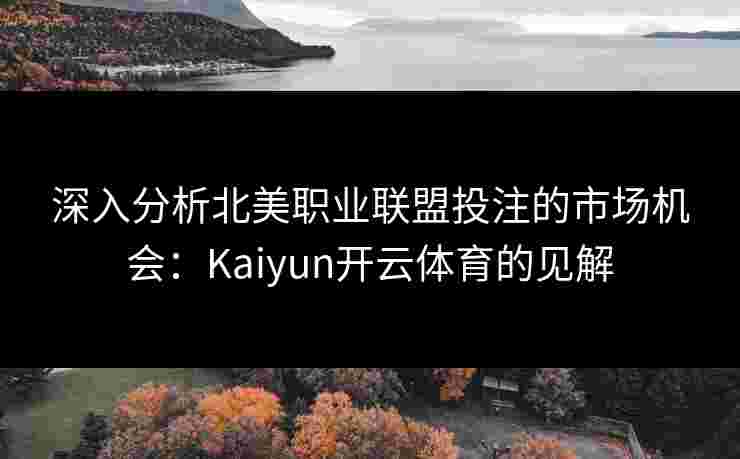 深入分析北美职业联盟投注的市场机会：Kaiyun开云体育的见解