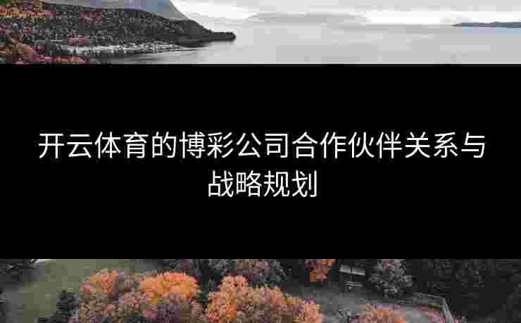开云体育的博彩公司合作伙伴关系与战略规划